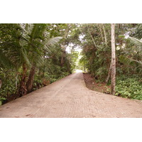 照片 塞舌尔(Seychelles) 拉迪格岛(La Digue) 2011-10 202