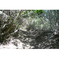 照片 南非(South Africa) 自然谷(Nature's Valley) 2008-09 15
