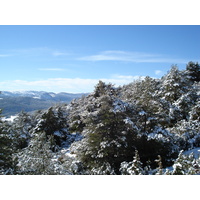 照片 法国(France) 库尔瑟古勒至格雷奥利耶雪场公路(Coursegoule to Greolieres les neiges road) 2007-01 63