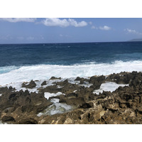 照片 瓜德罗普(Guadeloupe) 城堡角(Castle Point) 2021-02 352