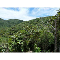 照片 塞舌尔(Seychelles) 五月谷(Vallee de Mai) 2011-10 74