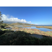 照片 意大利(Italy) 奥尔贝泰洛(Orbetello) 2021-09 4