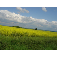 照片 英国(United Kingdom) 巨石阵(Stonehenge) 2004-05 18
