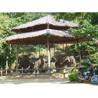 照片 泰国(Thailand) 普吉岛(Phuket) 卡塔卡伦观景台(Kata Karon Viewpoint) 2005-12 10