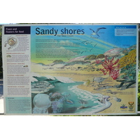 照片 南非(South Africa) 自然谷(Nature's Valley) 2008-09 85