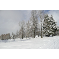 照片 法国(France) 梅杰夫(Megeve) 勒普拉奈(Le Planay) 2010-02 25