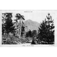 照片 法国(France) 科西嘉岛(Corsica) 老明信片(Old Postcards) 1900-01 111