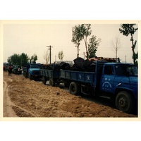 照片 中国(China) 进藏之路(Road to Tibet) 1994-07 13
