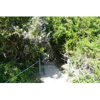 照片 南非(South Africa) 自然谷(Nature's Valley) 2008-09 94