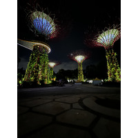 照片 新加坡(Singapore) 滨海湾花园(Garden by the bay) 2023-01 27