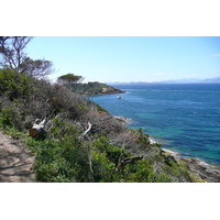 照片 法国(France) 波克罗勒岛(Porquerolles Island) 勒坎角(Pointe du Lequin) 2008-05 2