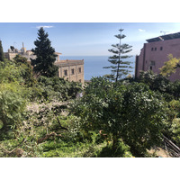 照片 意大利(Italy) 西西里岛(Sicily) 陶尔米纳(Taormina) 2020-02 71
