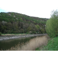 照片 英国(United Kingdom) 廷特恩(Tintern) 2006-05 66