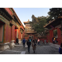 照片 中国(China) 北京(Beijing) 紫禁城(Forbidden City) 2015-12 178