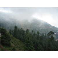 照片 巴基斯坦(Pakistan) 穆里(Murree) 2006-08 38
