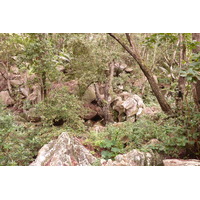 照片 塞舌尔(Seychelles) 拉迪格岛(La Digue) 2011-10 91