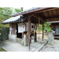 照片 日本(Japan) 京都(Kyoto) 仁和寺(Ninna ji Temple) 2010-06 26