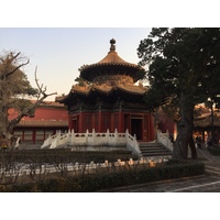 照片 中国(China) 北京(Beijing) 紫禁城(Forbidden City) 2015-12 142