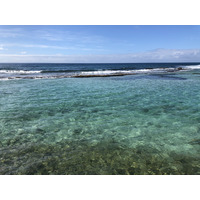 照片 瓜德罗普(Guadeloupe) 曼加瑙酒店(Le Manganao Hotel) 2021-02 45