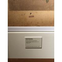 照片 意大利(Italy) 西西里岛(Sicily) 巴勒莫(Palermo) 诺曼王宫(Palazzo dei Normanni) 2020-02 104