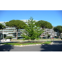 照片 法国(France) 戛纳(Cannes) 皮埃尔·康托港(Port Pierre Canto) 2008-05 66