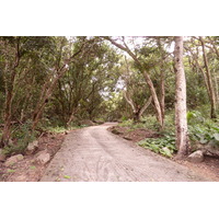 照片 塞舌尔(Seychelles) 拉迪格岛(La Digue) 2011-10 135