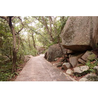 照片 塞舌尔(Seychelles) 拉迪格岛(La Digue) 2011-10 164