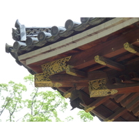 照片 日本(Japan) 京都(Kyoto) 仁和寺(Ninna ji Temple) 2010-06 5