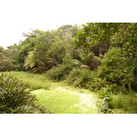 照片 塞舌尔(Seychelles) 拉迪格岛(La Digue) 2011-10 75