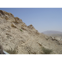 照片 阿联酋(United Arab Emirates) 艾因(Al Ain) 2005-03 99