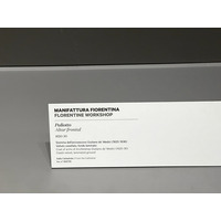 照片 意大利(Italy) 比萨(Pisa) 2022-05 90