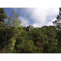 照片 法国(France) 科西嘉岛(Corsica) 奥斯佩达莱森林(L'ospedale Forest) 2012-09 13