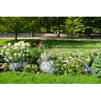 照片 法国(France) 巴黎(Paris) 巴黎植物园(Jardin des Plantes) 2007-08 213