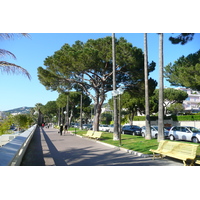 照片 法国(France) 戛纳(Cannes) 皮埃尔·康托港(Port Pierre Canto) 2008-05 48