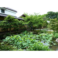照片 日本(Japan) 京都(Kyoto) 涉成园(Shosei en Garden) 2010-06 2