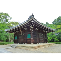 照片 日本(Japan) 京都(Kyoto) 仁和寺(Ninna ji Temple) 2010-06 60