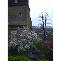 照片 瑞士(Switzerland) 纳沙泰尔(Neuchatel) 1999-04 1