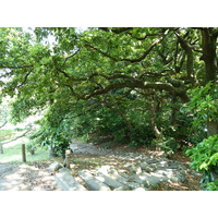 照片 日本(Japan) 东京(Tokyo) 滨离宫恩赐庭园(Hama rikyu Gardens) 2010-06 32