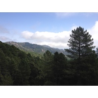 照片 法国(France) 科西嘉岛(Corsica) 奥斯佩达莱森林(L'ospedale Forest) 2012-09 3
