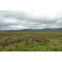照片 英国(United Kingdom) 苏格兰(Scotland) 福里斯至阿维莫尔公路(Forres to Aviemore road) 2011-07 10