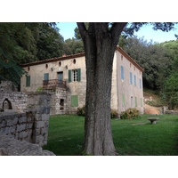 照片 法国(France) 科西嘉岛(Corsica) 奥斯佩达莱森林(L'ospedale Forest) 2012-09 6