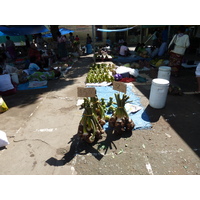 照片 斐济(Fiji) 楠迪(Nadi) 2010-05 77