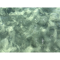 照片 法国(France) 科西嘉岛(Corsica) 圣朱利亚诺(San Giuliano) 2018-09 26