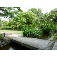 照片 日本(Japan) 京都(Kyoto) 涉成园(Shosei en Garden) 2010-06 23