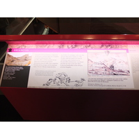照片 法国(France) 巴黎(Paris) 大皇宫(Grand Palais) 2012-01 149