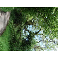 照片 英国(United Kingdom) 彭布罗克郡(Pembrokeshire) 2006-05 46
