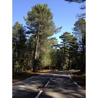 照片 法国(France) 科西嘉岛(Corsica) 奥斯佩达莱森林(L'ospedale Forest) 2012-09 64
