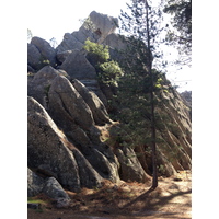 照片 法国(France) 科西嘉岛(Corsica) 奥斯佩达莱森林(L'ospedale Forest) 2012-09 68