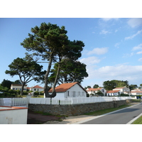 照片 法国(France) 普雷法耶(Prefailles) 普雷法耶至默勒港(Prefailles to Port Meuleu) 2007-07 69