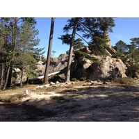 照片 法国(France) 科西嘉岛(Corsica) 奥斯佩达莱森林(L'ospedale Forest) 2012-09 37